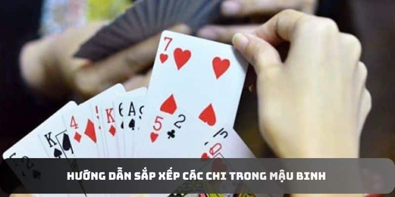 Hướng dẫn sắp xếp các chi trong Mậu Binh 